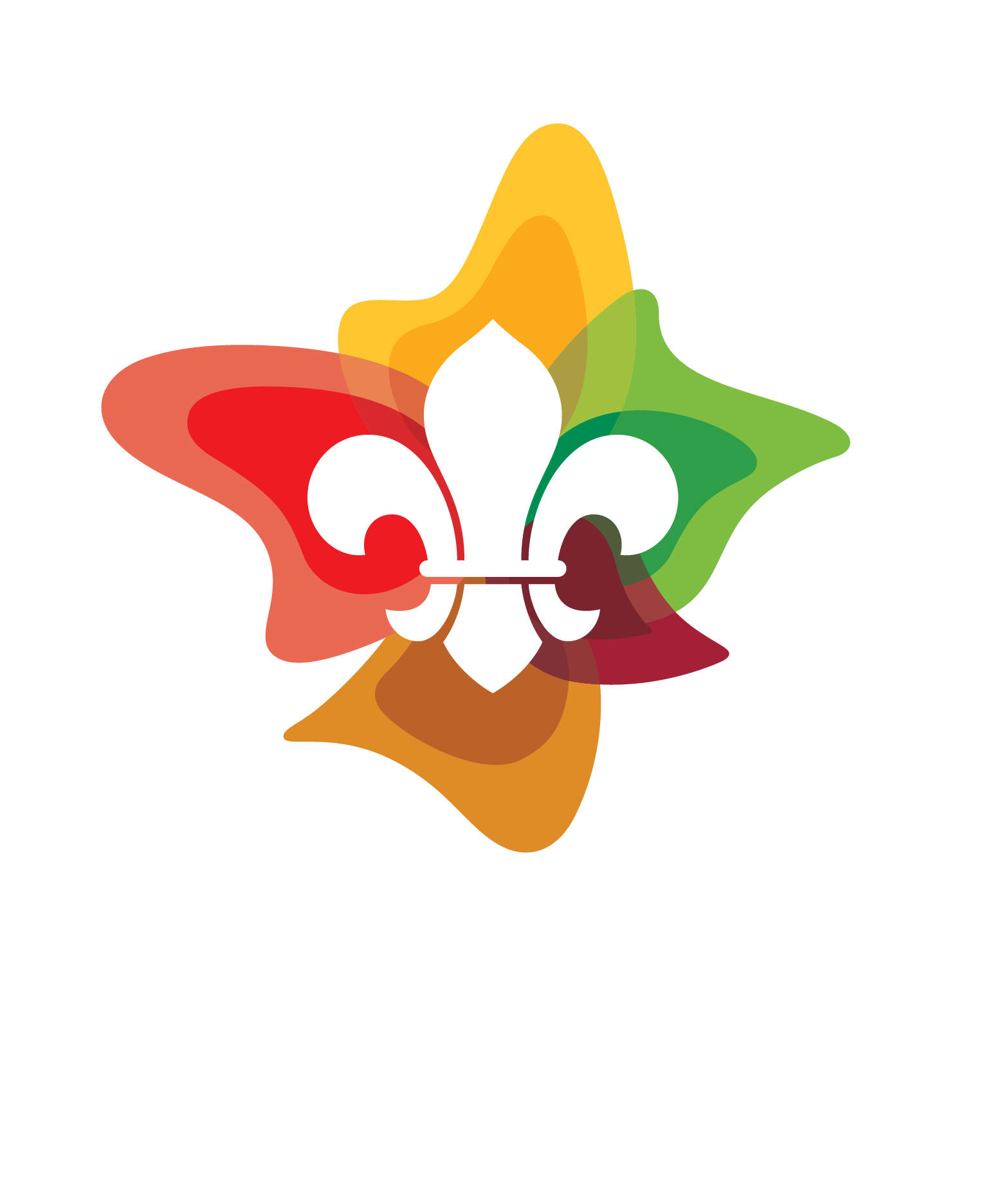 Ormeau Scout Group